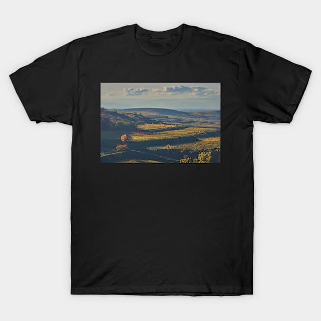 View across the Kaiserstuhl in Autumn T-Shirt by mbangert